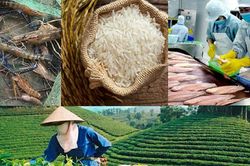 Xuất khẩu nông lâm thủy sản khởi sắc, các nhóm hàng chủ lực duy trì đà tăng trưởng