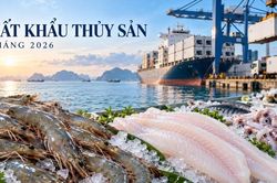 Xuất khẩu thủy sản 9 tháng vượt 9 tỷ USD, dự báo giảm tốc trong quý 4/2026
