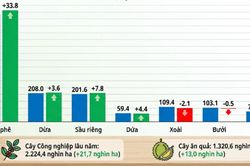 Nông, lâm, thủy sản 9 tháng năm 2026 tăng 4,02%, cây lâu năm bứt phá