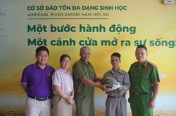 Người dân Duy Nghĩa giao nộp cá thể tê tê quý hiếm