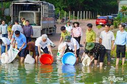 Gìn giữ nguồn sống từ lòng hồ Trị An
