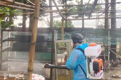 Sốt xuất huyết diễn biến phức tạp, nguy cơ bùng phát diện rộng