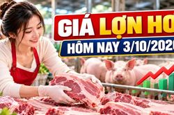 Giá lợn hơi hôm nay 3/10/2026: Nhiều nơi về mức 55.000 đồng/kg