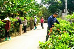 Phát huy khối đại đoàn kết ở Chấn Thịnh