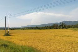 Tính toán từ trong mưa lũ