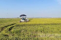 Đưa khoa học kỹ thuật vào trồng trọt