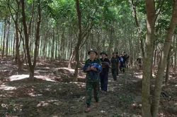 Tìm thấy 13 hài cốt liệt sĩ cùng nhiều di vật trong rừng tràm ở Quảng Trị