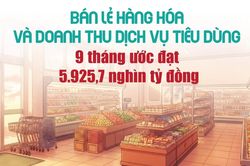 Infographics: Bán lẻ hàng hóa và doanh thu dịch vụ tiêu dùng 9 tháng tăng 13,4%