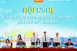 Hải Phòng hỗ trợ doanh nghiệp xuất khẩu qua thương mại điện tử
