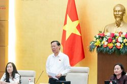 Làm rõ quy định, giảm thủ tục, bảo đảm trách nhiệm