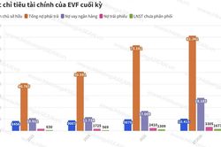 EVF lên kế hoạch huy động tối đa 300 triệu USD trái phiếu quốc tế