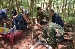 Tìm thấy 13 hài cốt liệt sĩ tại khu vực rừng tràm Bãi Dinh, Quảng Trị