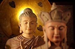 Xua tan bóng tối trong tâm - Phân biệt Chính Pháp với Phi Pháp (P.1)