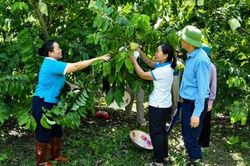 Xã Phục Hòa đồng hành cùng hội viên phụ nữ phát triển kinh tế