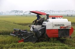 Thành phố Hồ Chí Minh: Nông thôn mới phải tạo sinh kế, nâng chất lượng sống