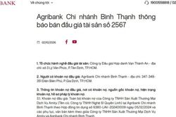 Công ty Amity (tên cũ là Công ty Nghệ Sĩ Quyền Linh) nợ ngân hàng 126 tỷ đồng, Agribank ra thông báo