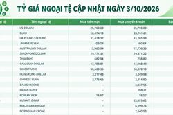Tỷ giá ngoại tệ ngày 3/10: USD ổn định, SGD bán ra hơn 20.600 đồng, CNY tiến sát 3.940 đồng