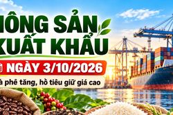 Nông sản xuất khẩu 3/10: Cà phê tăng trên sàn London, hồ tiêu giữ giá cao
