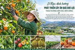 Định hướng phát triển cây ăn quả chủ lực theo hướng hiện đại, bền vững