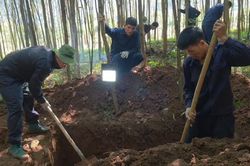 Phát hiện 3 hài cốt liệt sĩ cùng nhiều di vật trong rừng Quảng Trị
