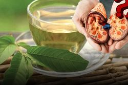 Uống nước lá ổi mỗi ngày có làm hỏng thận như lời đồn trên mạng?