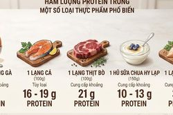 Sau tuổi 70 nên ăn bao nhiêu protein để giữ cơ và không hại thận?