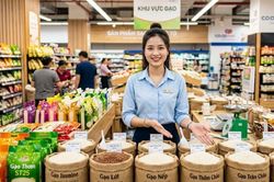 Giá lúa gạo hôm nay 4.10.2026: Chưa có tín hiệu tăng mới