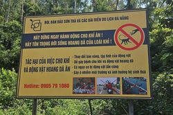 Nghiêm cấm cho động vật hoang dã ăn tại bán đảo Sơn Trà