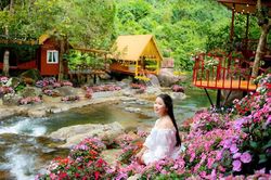 Một ngày 'chạm xanh' ở Suối Chí, Quảng Ngãi