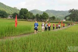 Gần 700 vận động viên tranh tài tại giải leo núi Cốc San 'sắc vàng mùa thu 2026'