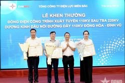 Vượt khó đưa dự án xuất tuyến 110kV Dương Kinh về đích đúng tiến độ