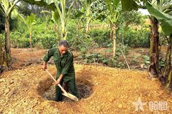 Nhường đồi tràm cho bộ đội diễn tập