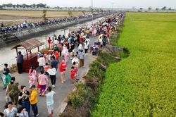 Ra đồng đi chợ