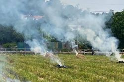 Hà Nội vào mùa gặt, nỗi lo ô nhiễm không khí do đốt rơm rạ
