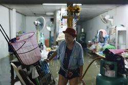 Kinh tế Thái Lan: Xuất khẩu trứng gà giảm mạnh, giá rau tăng gấp đôi do mưa lũ