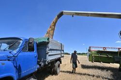 Tình đoàn kết của EU-Ukraine gặp thách thức, Kiev khó tìm đường ra cho ngũ cốc