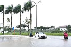Cà Mau cảnh báo mưa to cục bộ, nguy cơ ngập úng diện rộng