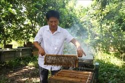 Những sáng kiến khoa học nâng tầm nông sản Việt
