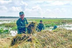 Khẩn trương hỗ trợ người dân giảm thiểu thiệt hại do mưa lũ