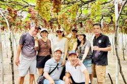 Vườn nho Thanh Thuỷ: Điểm đến xanh giữa miền nắng gió