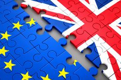 Gần 50% người Anh ủng hộ trở lại EU trước tín hiệu từ Thủ tướng Andy Burnham