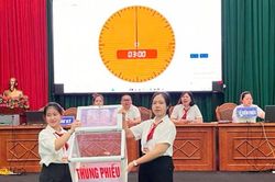 Bắc Ninh: Việt Yên đấu giá thành công 40 lô đất ở