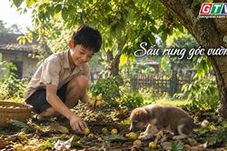 Ngăn ký ức: Sấu rụng góc vườn