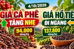 Giá cà phê, hồ tiêu hôm nay 4/10: Cà phê tăng, hồ tiêu đứng giá