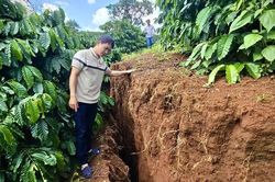 Người dân lo lắng trước tình trạng sụt lún, sạt lở đất ở Đức Cơ