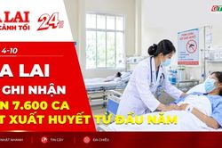 To&agrave;n cảnh Gia Lai 24h: Ghi nhận hơn 7.600 ca sốt xuất huyết từ đầu năm