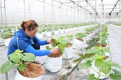 Vĩnh Yên phát huy sức mạnh khoa học công nghệ