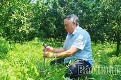 Ứng dụng tiến bộ kỹ thuật trong chăm sóc cây trồng