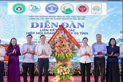 Liên kết hợp tác Hiệp hội Doanh nghiệp khu vực Tây Bắc