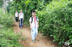 Những bước chân không ngại đường xa